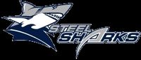 Steelsharks_Linz