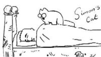 Gruppenavatar von Simon's Cat