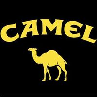 camel_since_1913