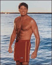 Gruppenavatar von David hasselhoff, mein Idol