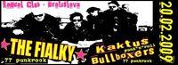 The Fialky, Kaktus, Bullboxers@Randal Club