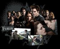 Der Krieg der Twilight-Gruppen -> Es sind schon so viele User gefallen!! Wie viele müssen noch dran glauben?!...=(