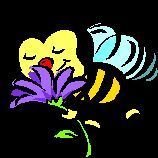 Die Biene hat an der Blume angedockt!