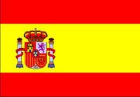 Gruppenavatar von Spanien wird Weltmeister