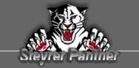 steyrer panther