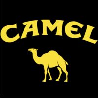 Gruppenavatar von Camel-Raucher