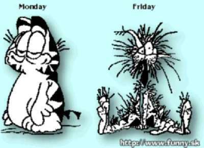 Gruppenavatar von T.G.I.F Thank God, its Friday