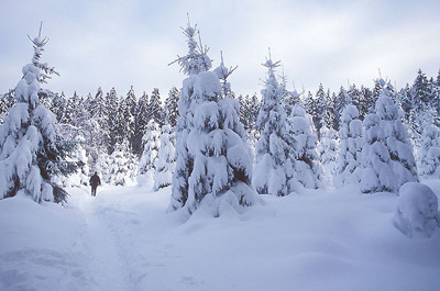 Gruppenavatar von :) SchnEE machT GlüCKLich :)