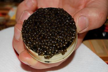 Gruppenavatar von ich persönlich hasse kaviar-ich meine, wie würde dir es denn gefallen, wenn man deine eier in gläsern abfüllen würde???