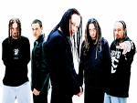 Gruppenavatar von korn is geil