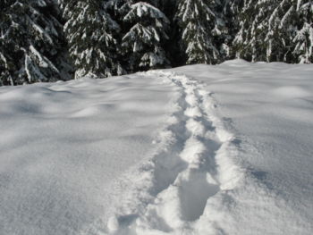 Gruppenavatar von ...ich liebe es durch den Schnee zu stapfen!!!