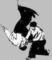 Gruppenavatar von Aikido