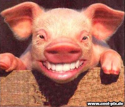 Gruppenavatar von KEIN schwein, KEINE rechte ^^