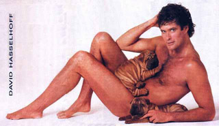 Gruppenavatar von DON´T HASSEL THE HOFF !!!