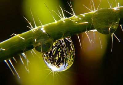 Gruppenavatar von Photographs for life