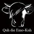 Gruppenavatar von Quh die Emo-kuh