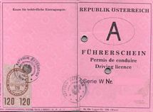 Gruppenavatar von Mein Führerschein ist noch rosa und aus Papier!