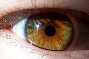 Gruppenavatar von ★★★ Green-Brown Eyes => What Else?? ;-)  ★★★