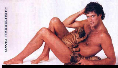 Gruppenavatar von Don't Hassel The Hoff