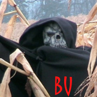 Gruppenavatar von BU Fan-Group