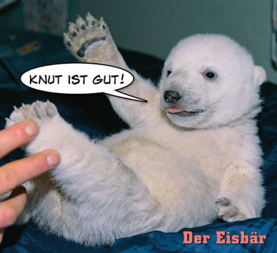 Gruppenavatar von Knut ist gut