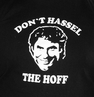 Gruppenavatar von Hasselhoff Ultras-Don´t Hassel the Hoff!