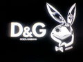 Gruppenavatar von PLAYBOY