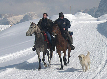 Gruppenavatar von Reiten ist der schönste Sport den es gibt!!!!!!!