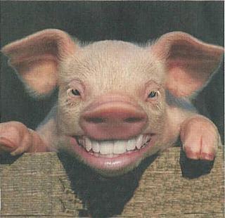 Gruppenavatar von ******Is scho guad Schwein.......******