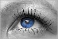 Gruppenavatar von Blaue Augen - - - - - - - - - - Ein Traum.....!!!!!