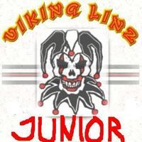 Gruppenavatar von GEILSTER FANCLUB: VIKINGS JUNIORS