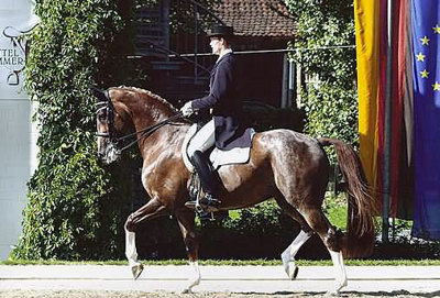 Gruppenavatar von ...reiten ist KEIN vollwertiger SPORT