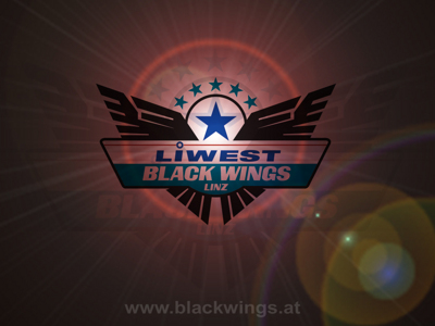 Gruppenavatar von eine stadt, ein verein.........blackwings linz