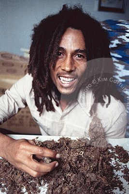Gruppenavatar von Bob Marley Jünger 