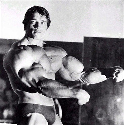 Gruppenavatar von Schwarzenegger bester Bodybuilder Strongestman