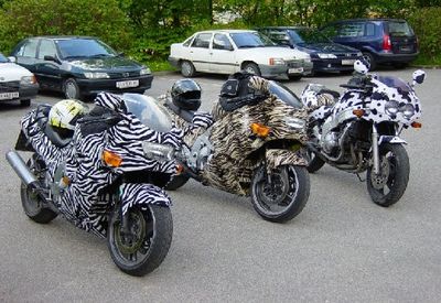 Gruppenavatar von Die ..Motorradsaison2010... hat begonnen...