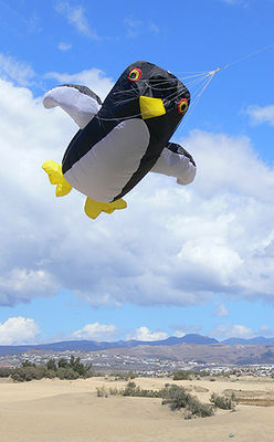 Gruppenavatar von Pinguine sind Vögel, die nur fliegen wenn man sie schmeißt...
