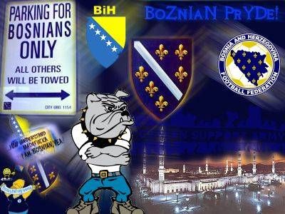 Gruppenavatar von *************** 1 0 0 1% _  STOLZE  _  BOSNIER***************