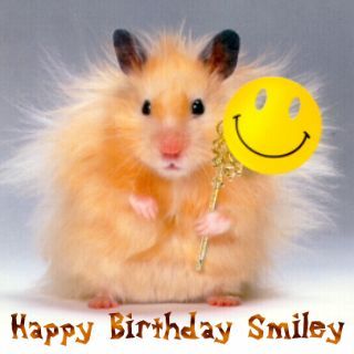 Gruppenavatar von Smiley have birthday