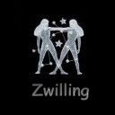 Gruppenavatar von Zwillinge - 