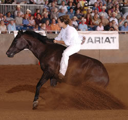 Gruppenavatar von Western, NHS, Reining und CO.