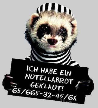 Gruppenavatar von Gurker'l mit Nutella esser