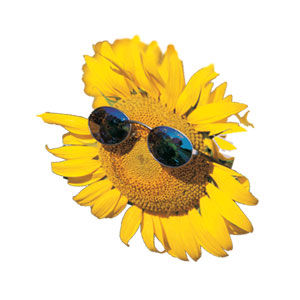 Gruppenavatar von Ich will den Sommer nur für mich!!!