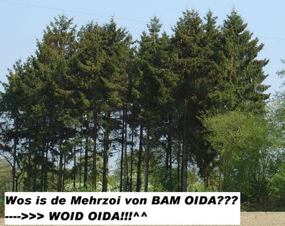 Gruppenavatar von Wos is de Mehrzoi von BAM OIDA???......WOID OIDA!!!