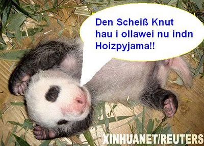 Gruppenavatar von Scheiß auf Knut wir haben Fu Long