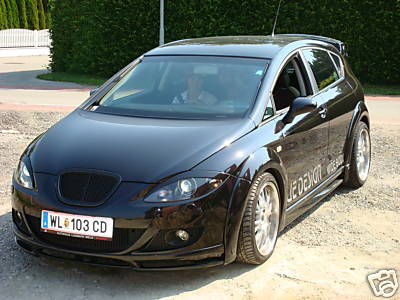 Gruppenavatar von SEAT LEON