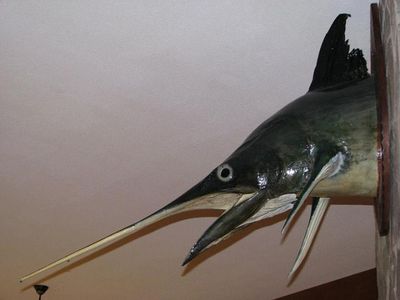 Gruppenavatar von Die Petris- Fischen am Lipno