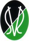 Gruppenavatar von Wir haben SV RIED, tätowiert auf unser LID! ;)