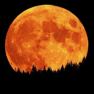 Gruppenavatar von Linzer Nachtleben -> der Mond ist unsre Sonne