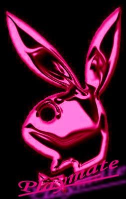 Gruppenavatar von ^100%^ Playboybunny